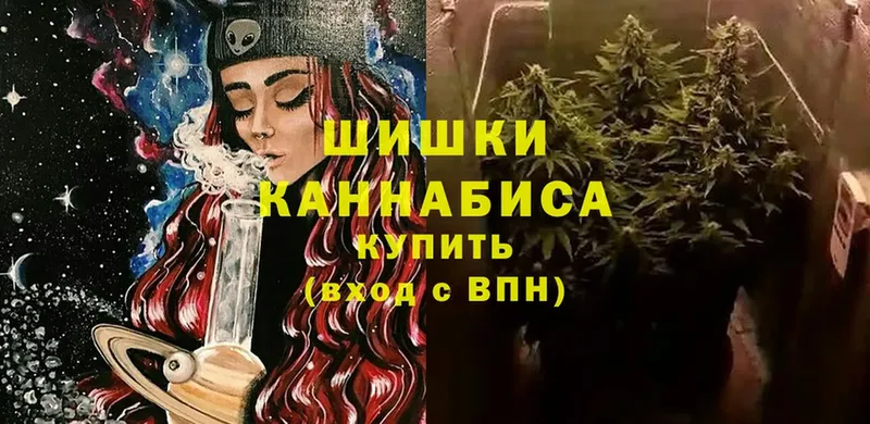 Бошки марихуана THC 21%  даркнет сайт  Грозный 